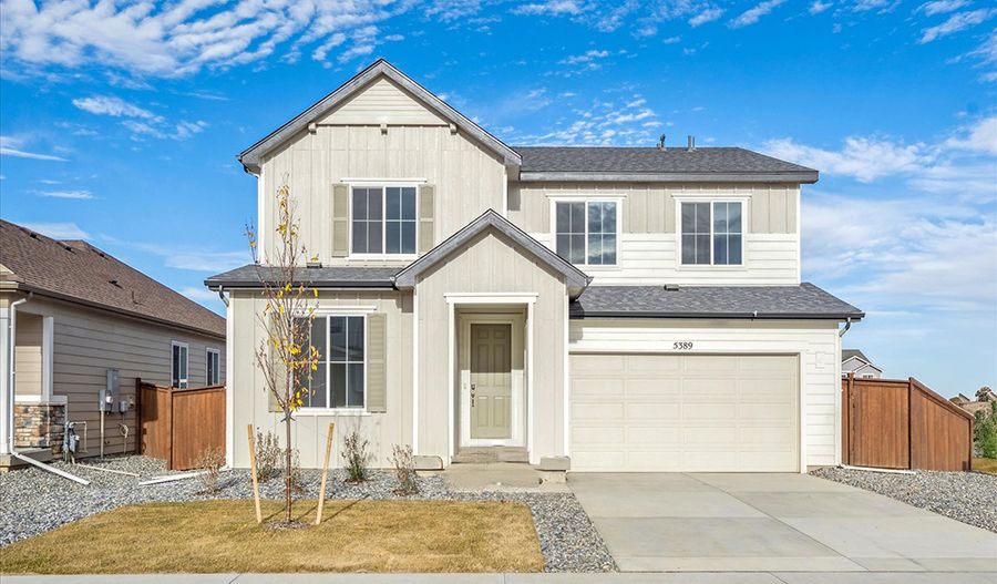 Ammolite - Fossil Creek: Windsor, Colorado - Richmond American Homes