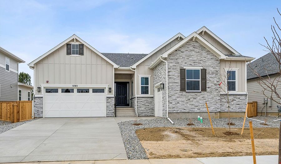 3783 Emerald Shore Circle (Daniel)