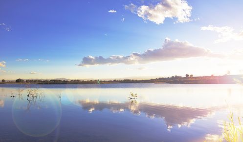 Barefoot Lakes