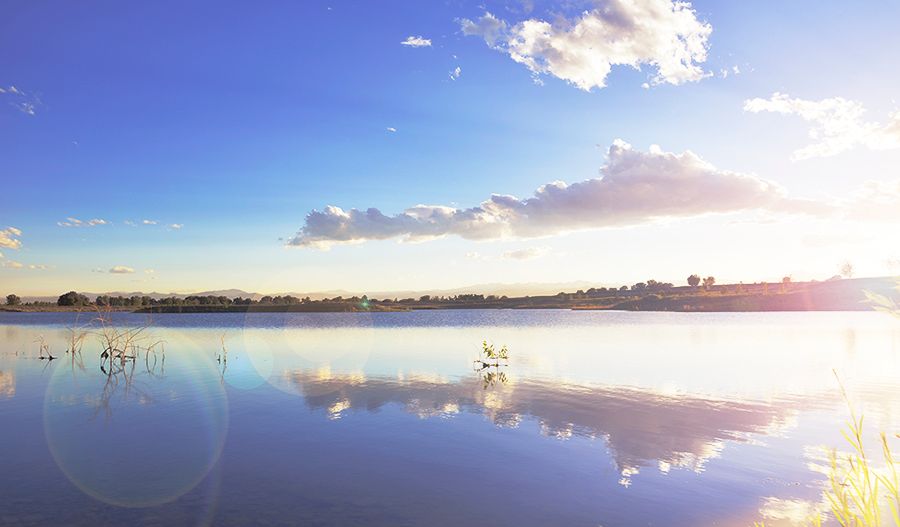 Barefoot Lakes