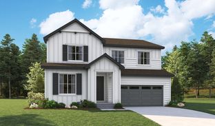 Ammolite - Fossil Creek: Windsor, Colorado - Richmond American Homes
