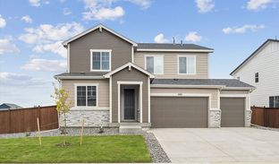 Ammolite - Fossil Creek: Windsor, Colorado - Richmond American Homes