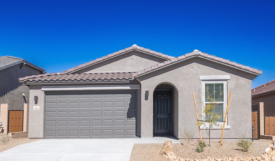 904 Corte Miel De Abeja