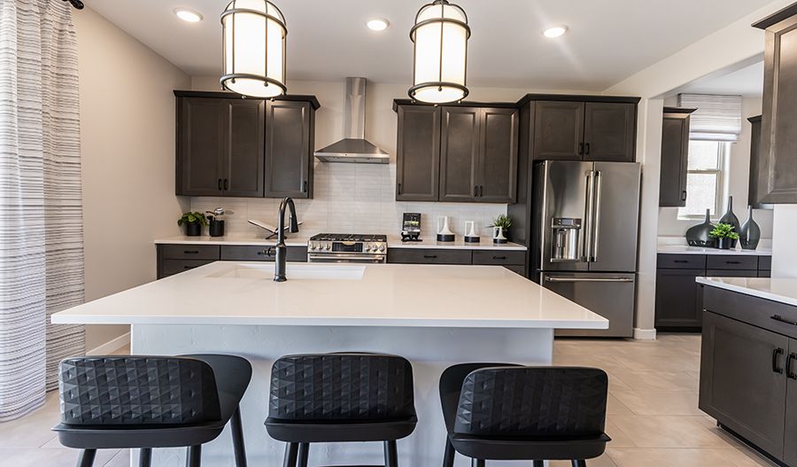 casa en Desert Bloom at Monarch por Richmond American