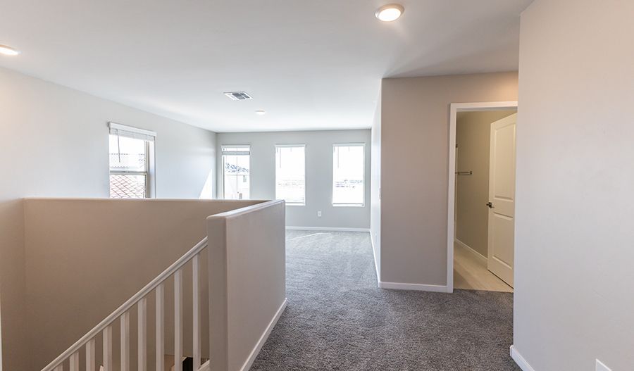 Loft