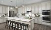 homes in Saguaro Reserve by Richmond American Homes