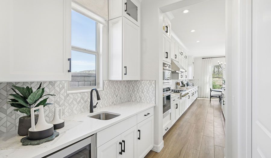 Kitchen and Pantry