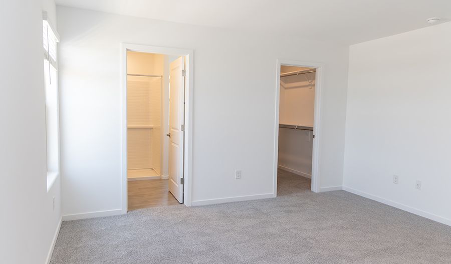 2620 Brandywine Lane (Ireland)