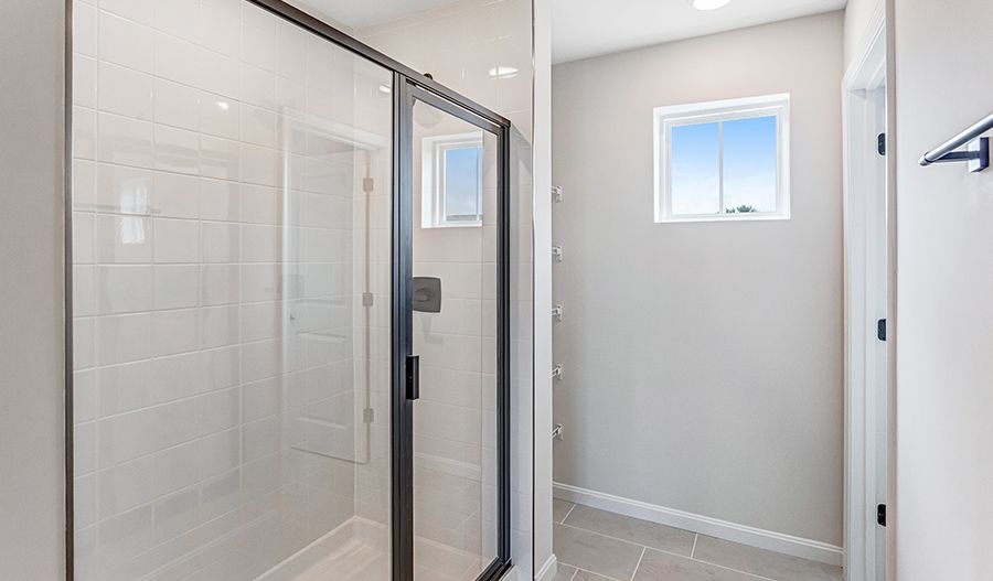 Shower
