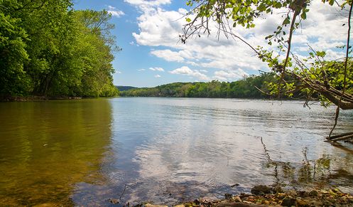 Lake Anna