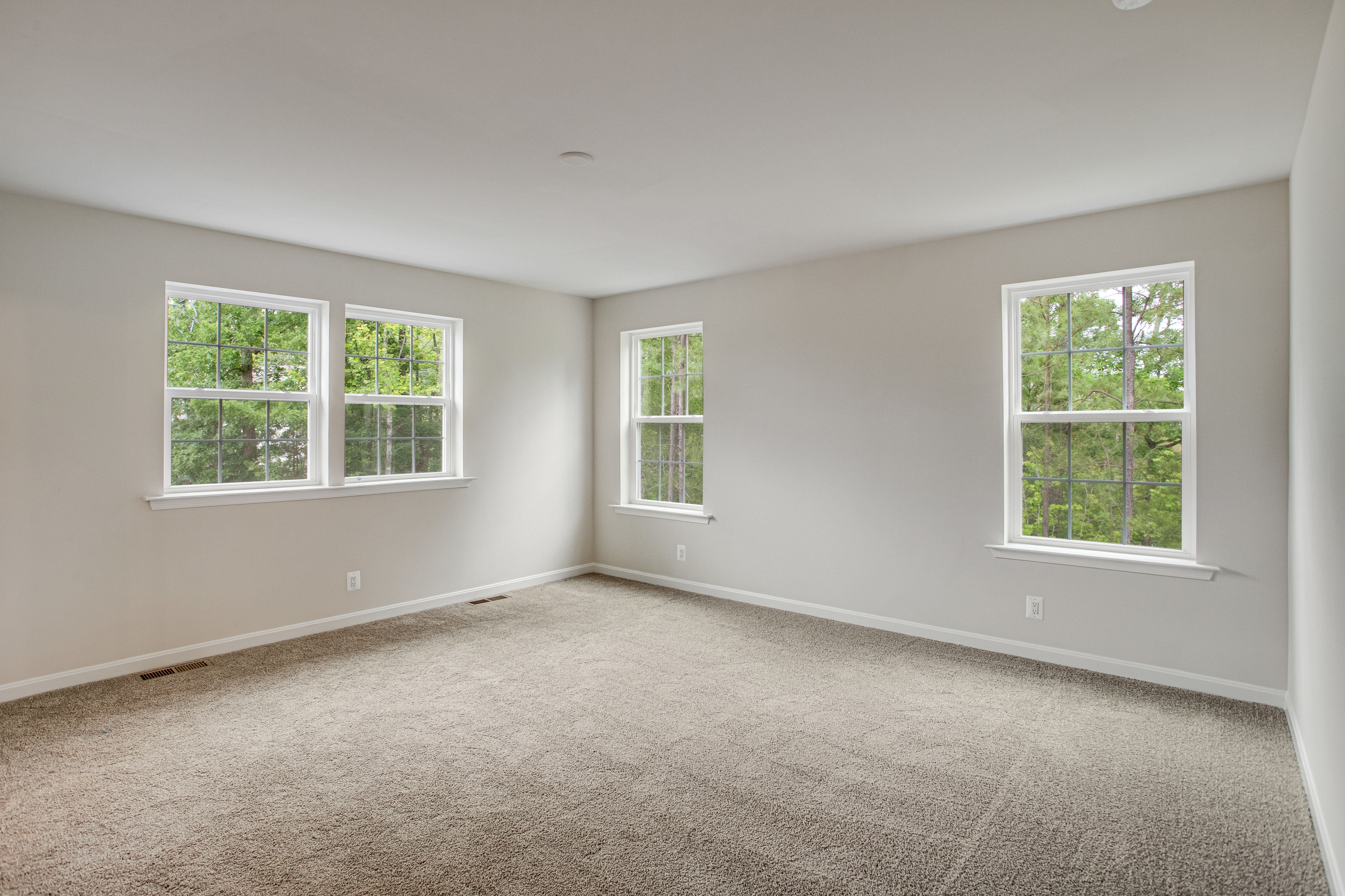 7127 Braxton Court (Hemingway)