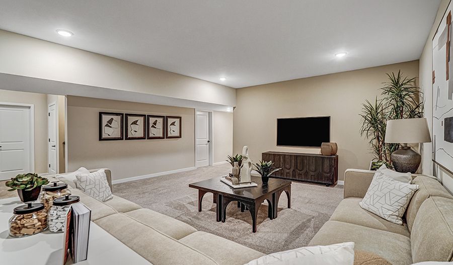 Recreation Room