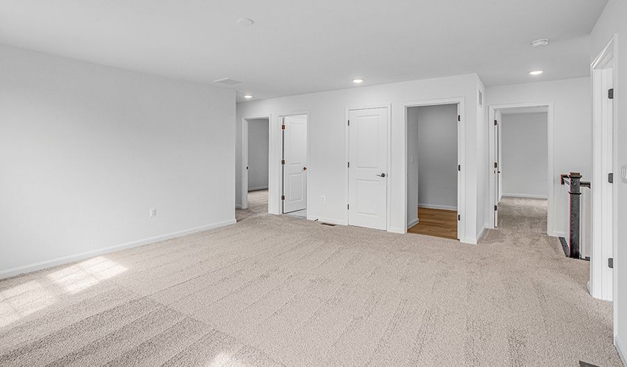 35603 Pine Needle Line (Hemingway)