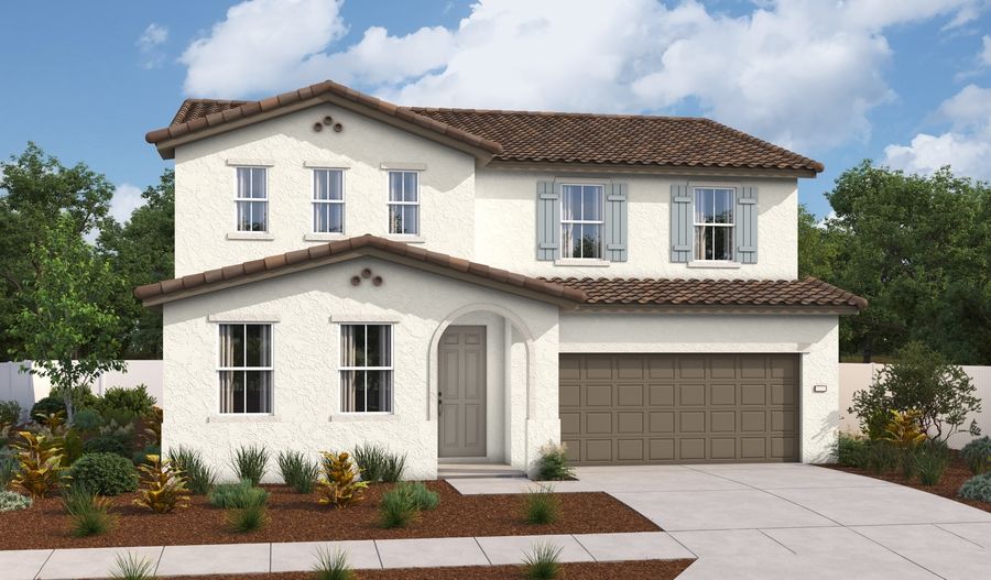 The Ammolite Elevation A