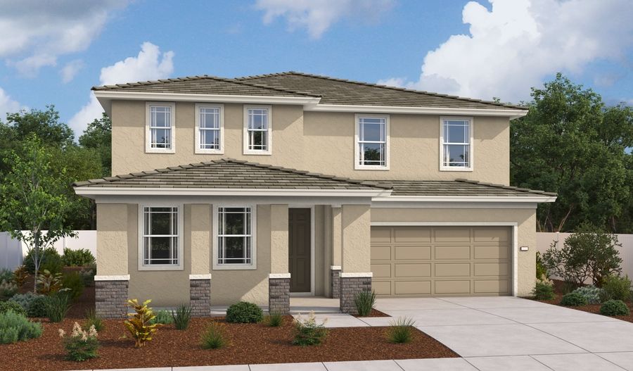 The Ammolite Elevation D