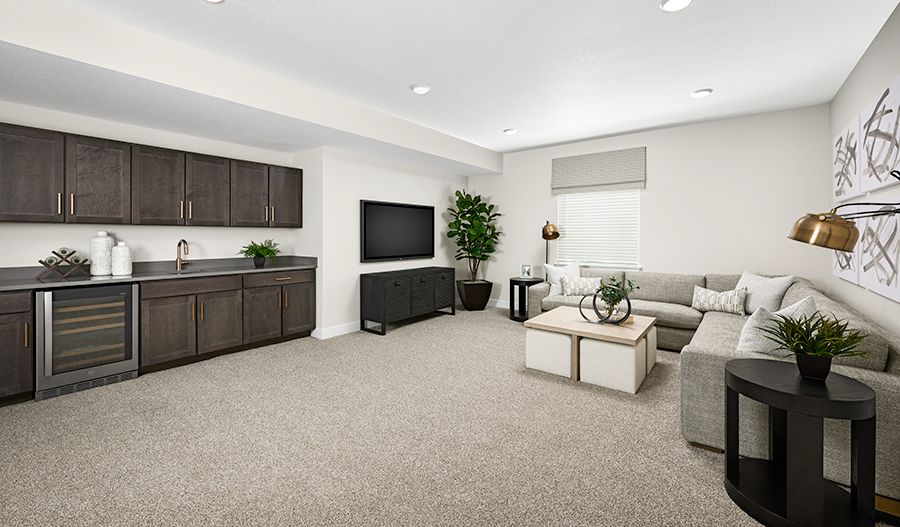 Recreation Room