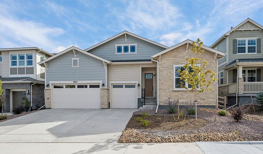 Nottingham - Peakview at Ascent Village: Littleton, Colorado - Richmond American