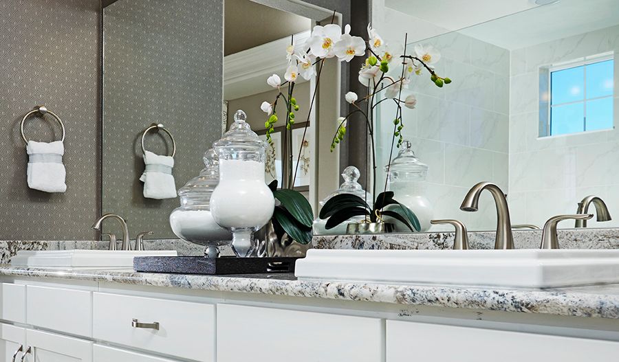 Owner's bath