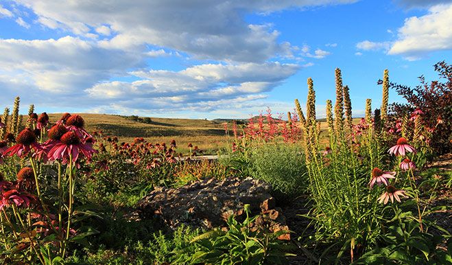 Crystal Valley - Nature Preserve