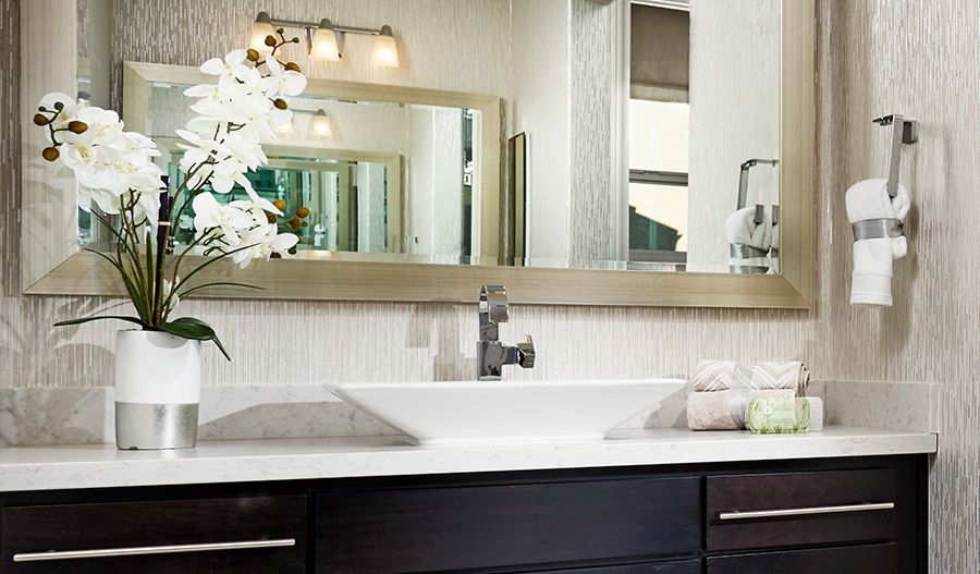 Owner's Bathroom