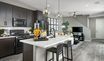 casa en Urban Collection at Palmer Village por Richmond American Homes