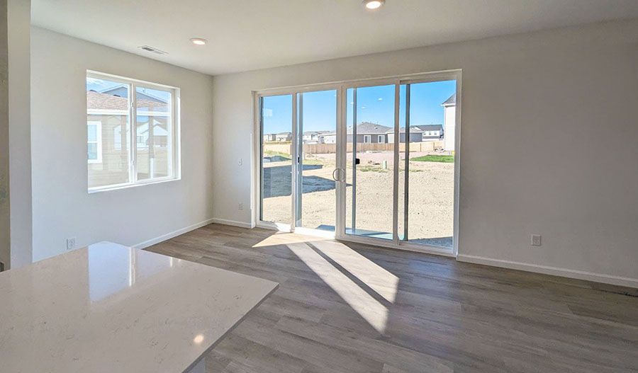 9343 Golden Buffs Drive (Coral II)