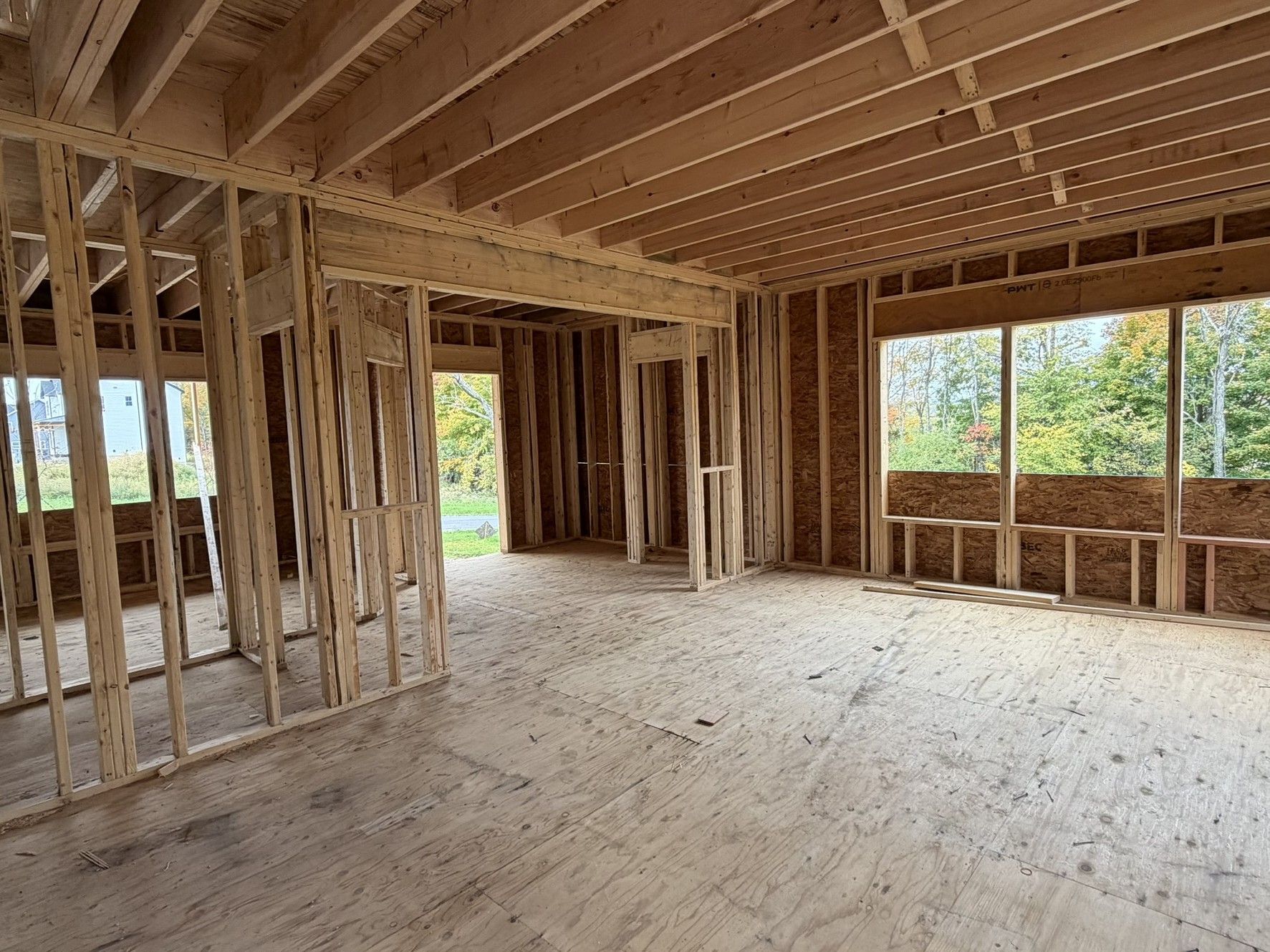 Mia Interior Framing in Progress