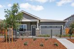 Tegan Estates - Elk Grove, CA