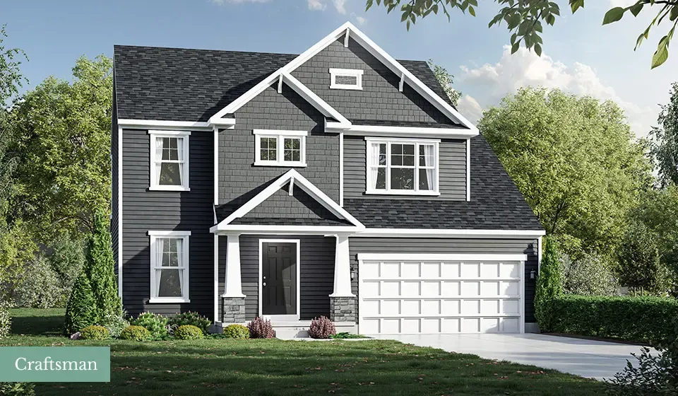 Jerome Village Aster