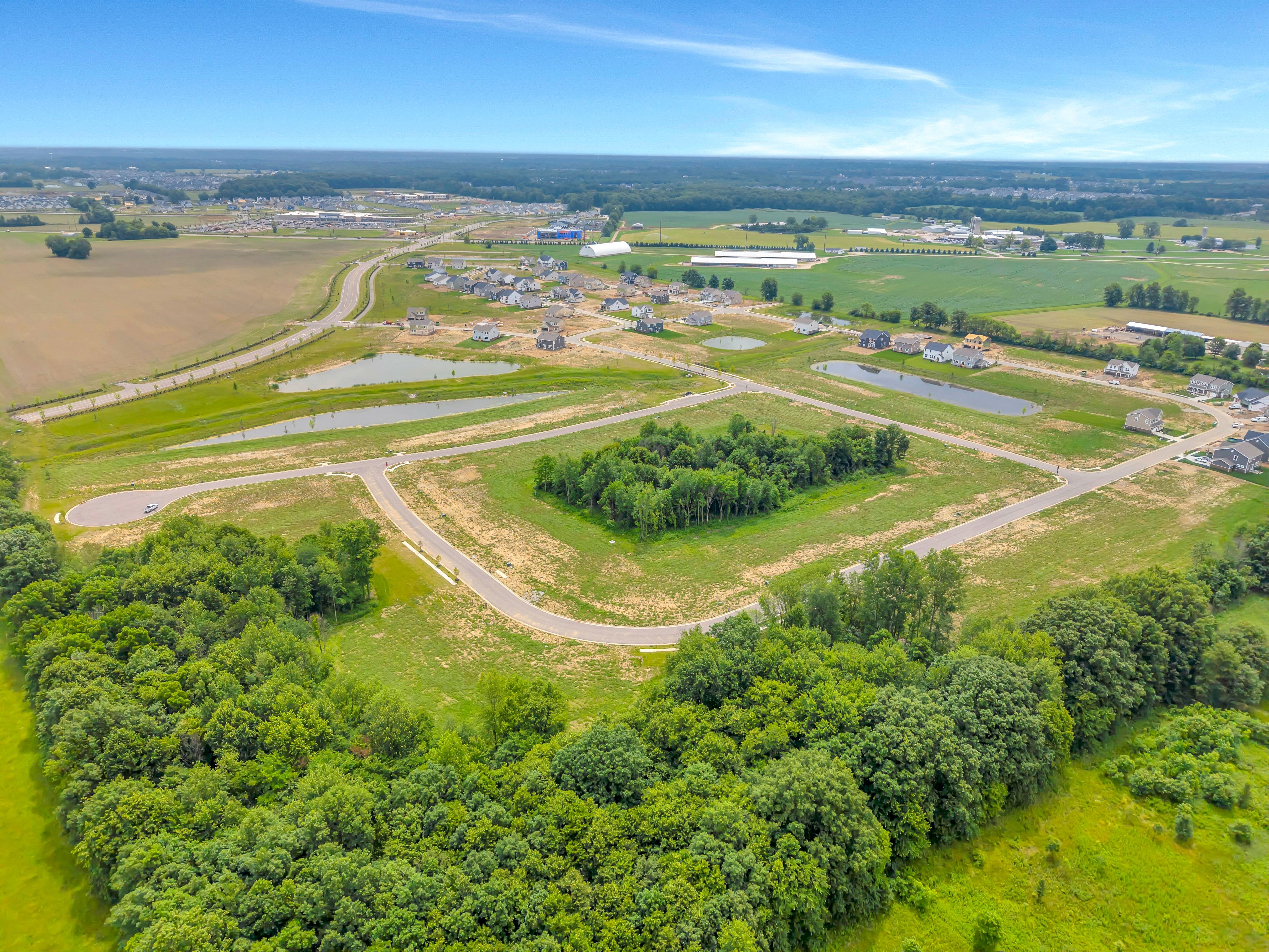 Jerome Village Meadowlark