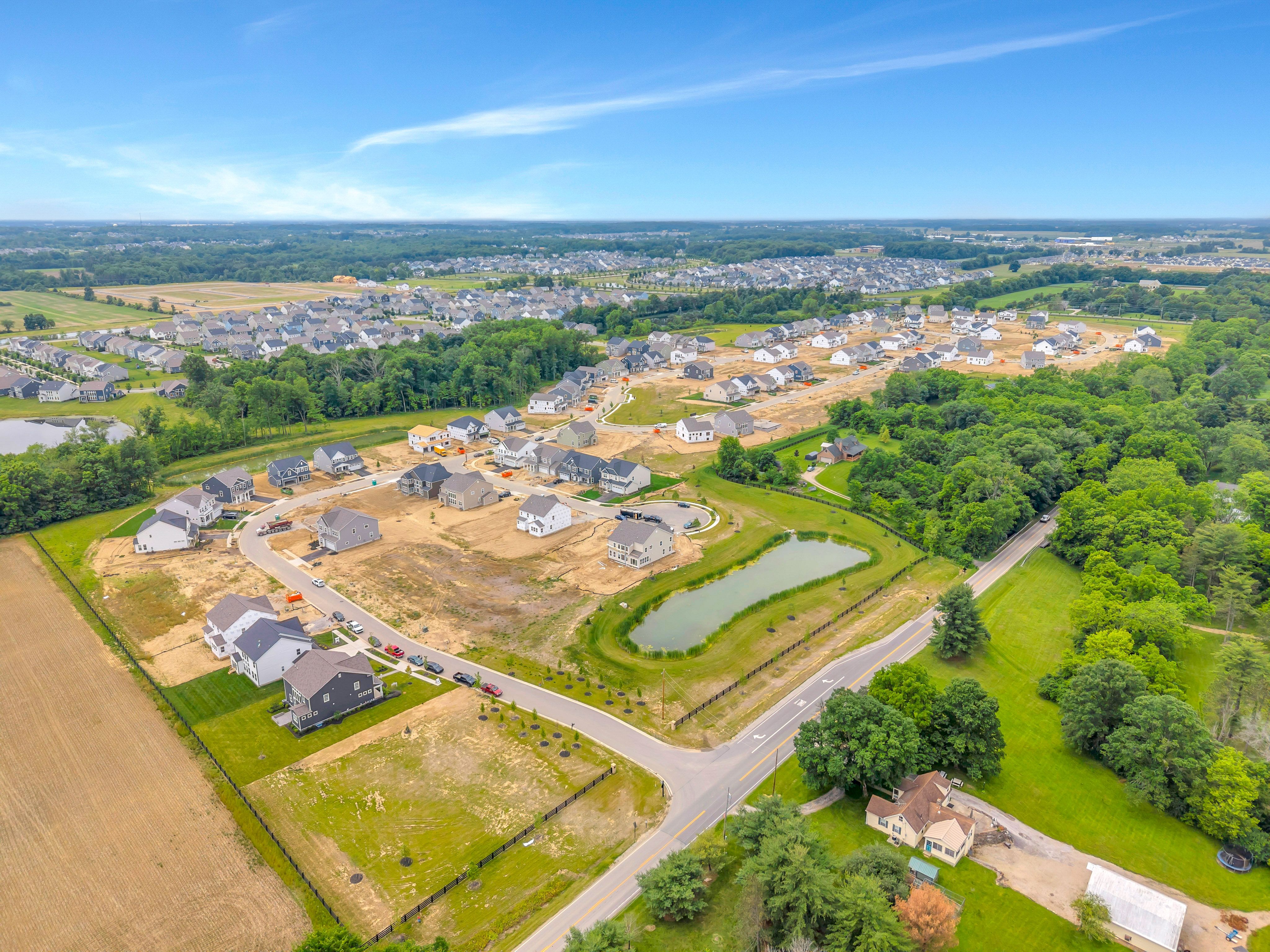Jerome Village Aster