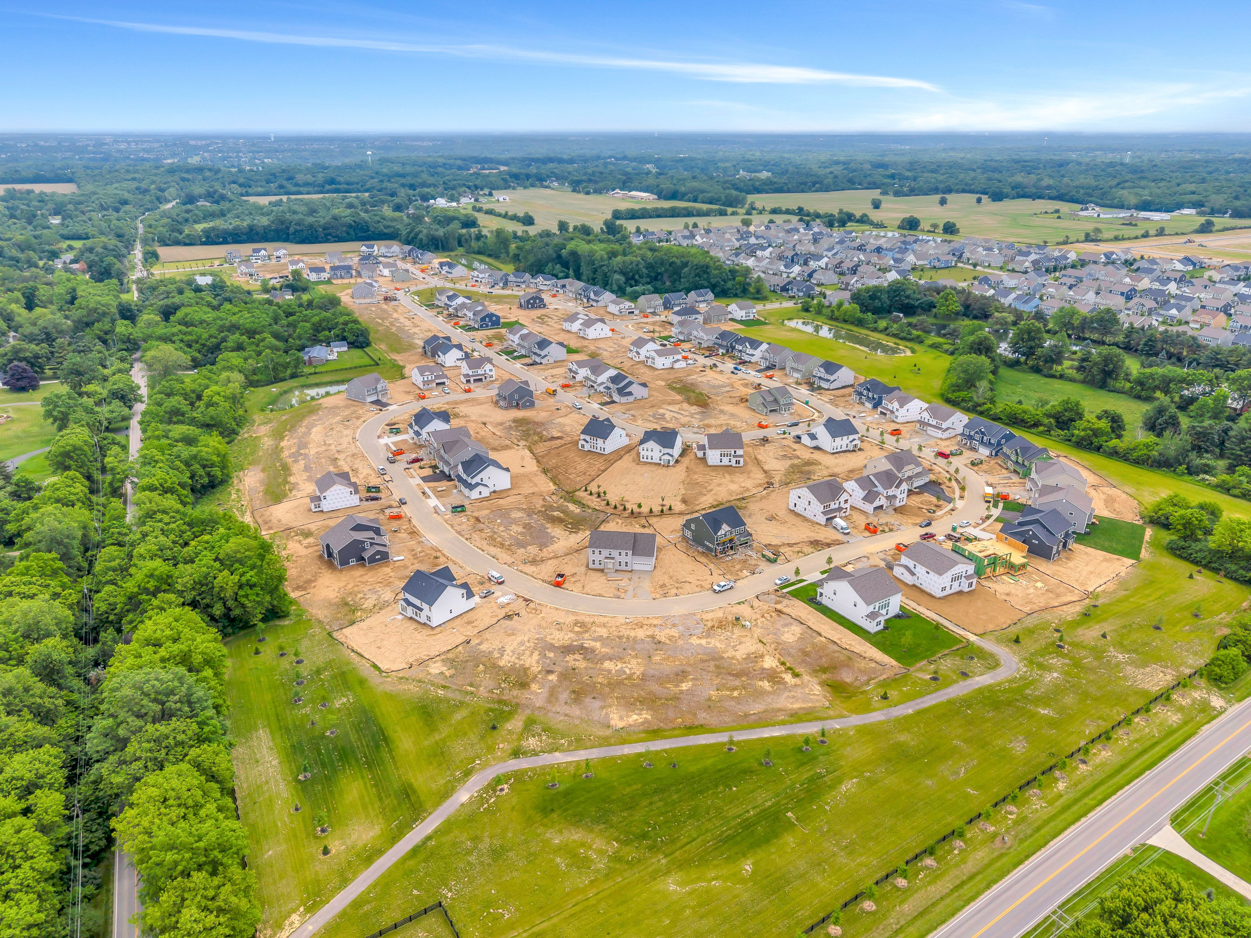 Jerome Village Aster
