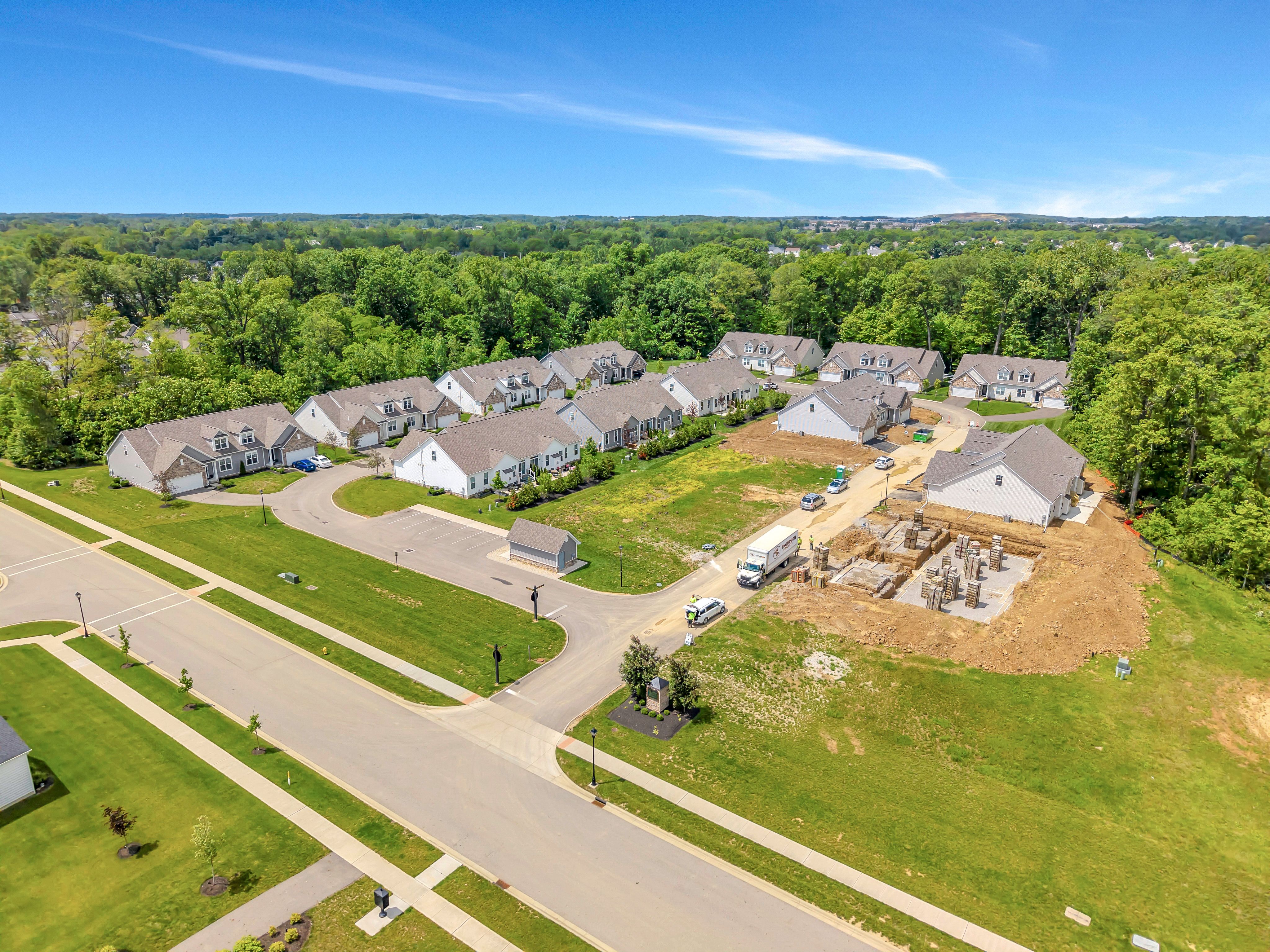 Meadow Grove Reserve