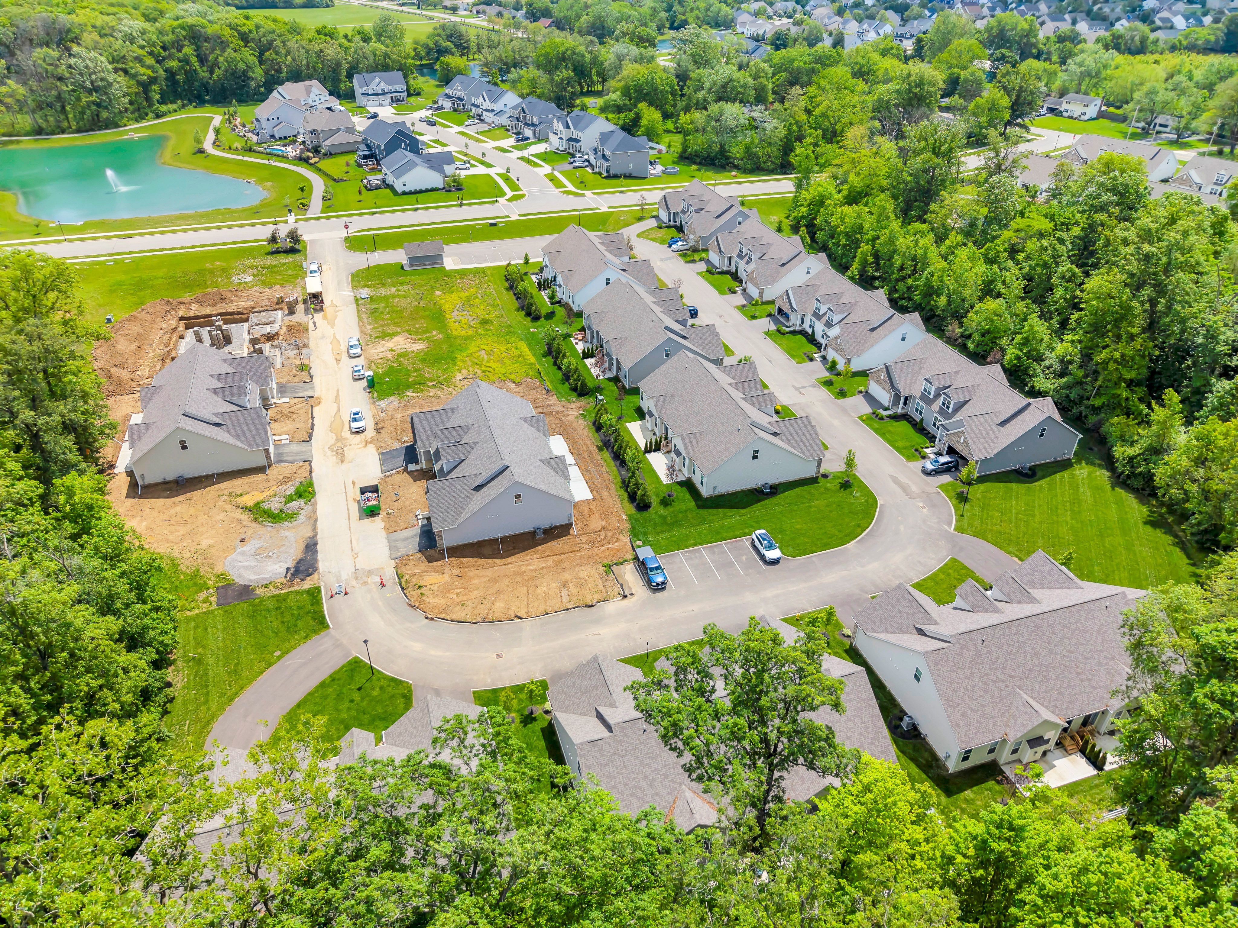 Meadow Grove Reserve