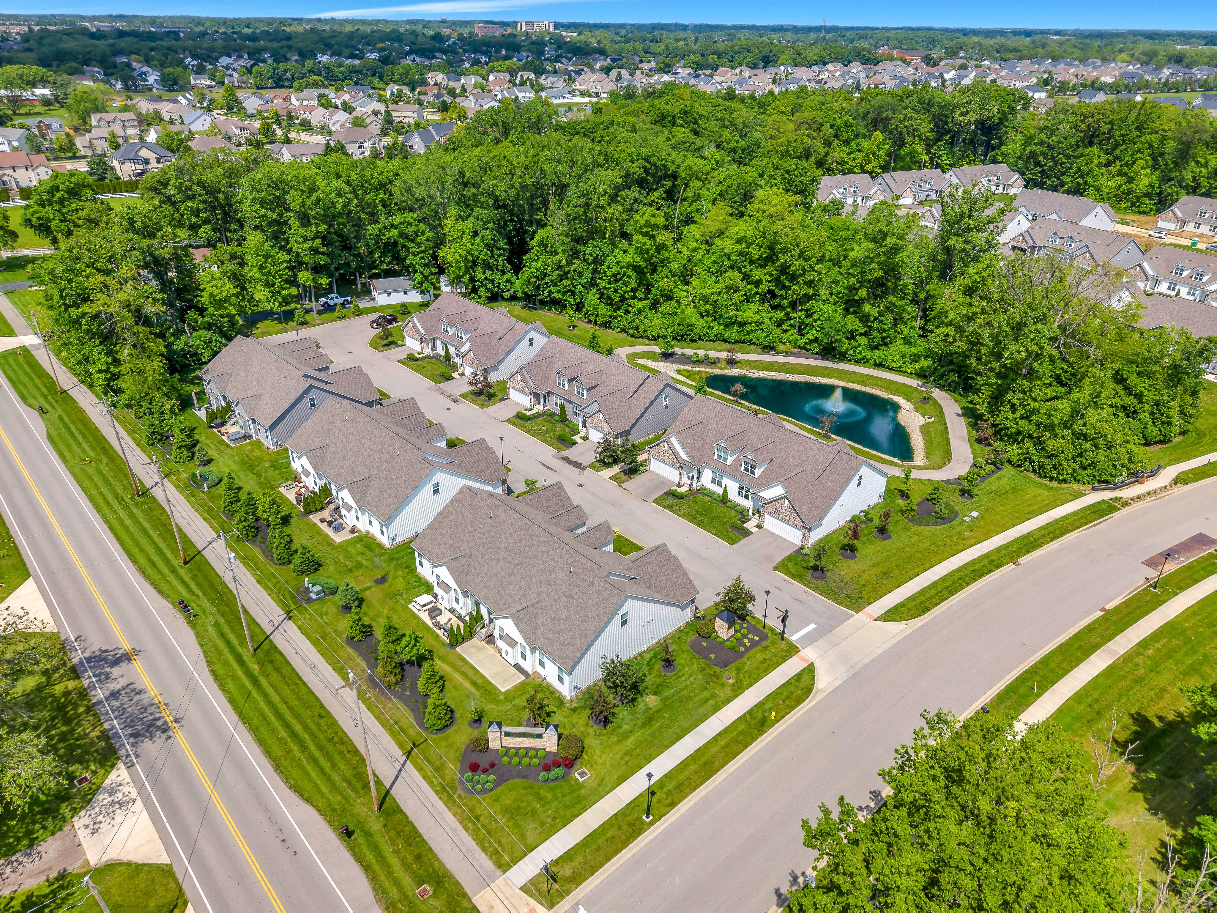 Meadow Grove Reserve