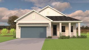 Driftwood - Arbor Meadows: Spring Hill, Florida - Rocklyn Homes