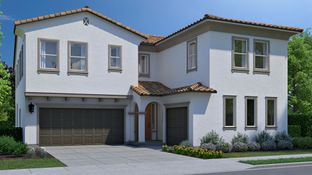 Plan 5 - Alserio at Lakeshore: Mountain House, California - Rurka Homes