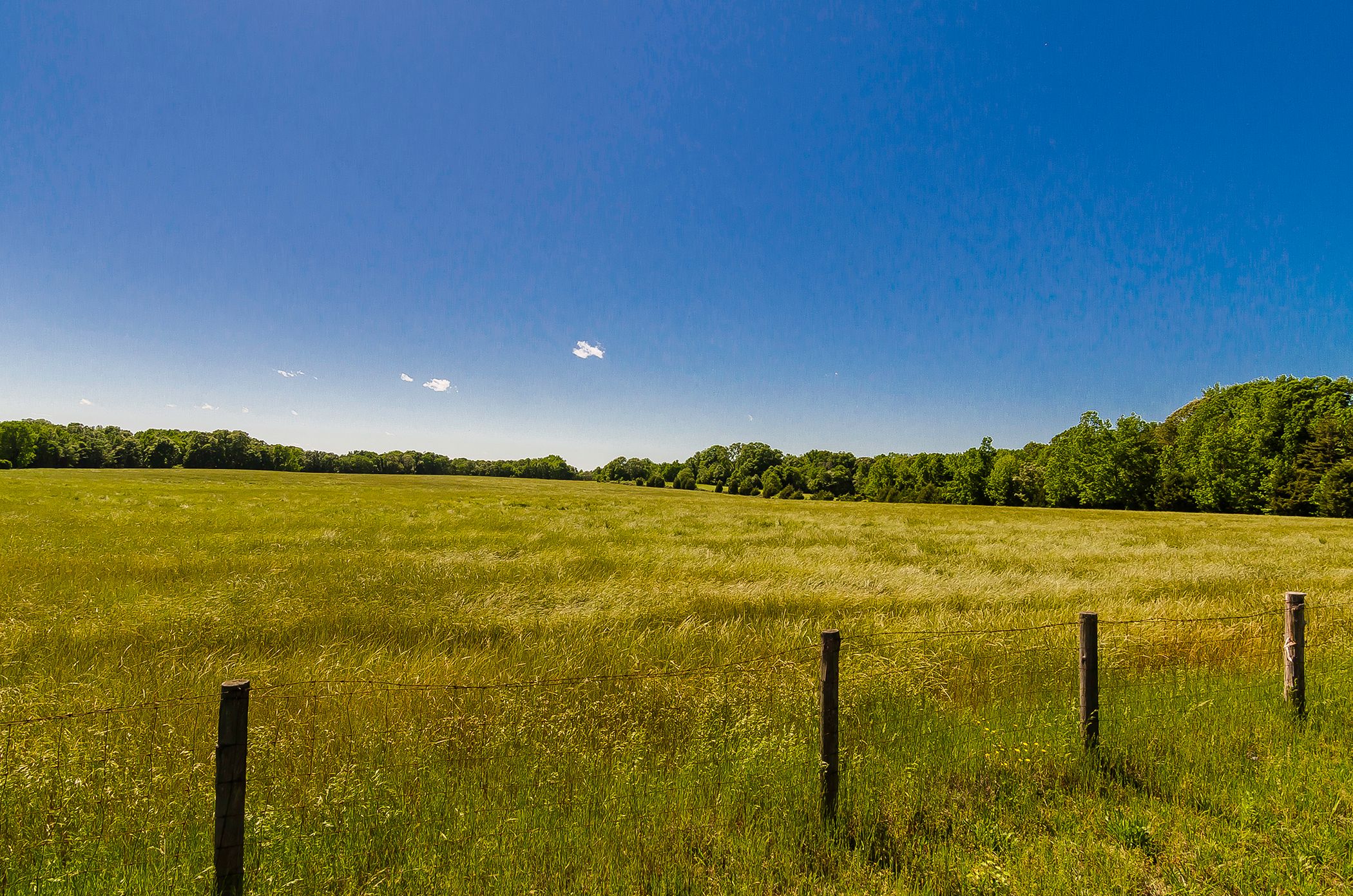 casa en Ridge Water por Ryan Homes