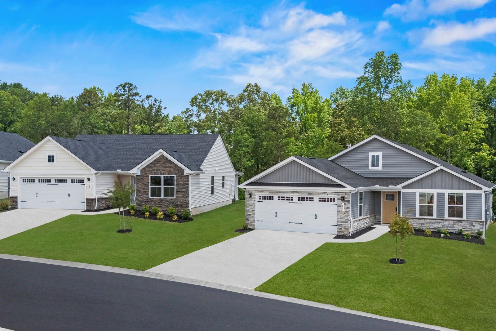 Cameron Ridge Ranches por Ryan Homes en Columbia South Carolina