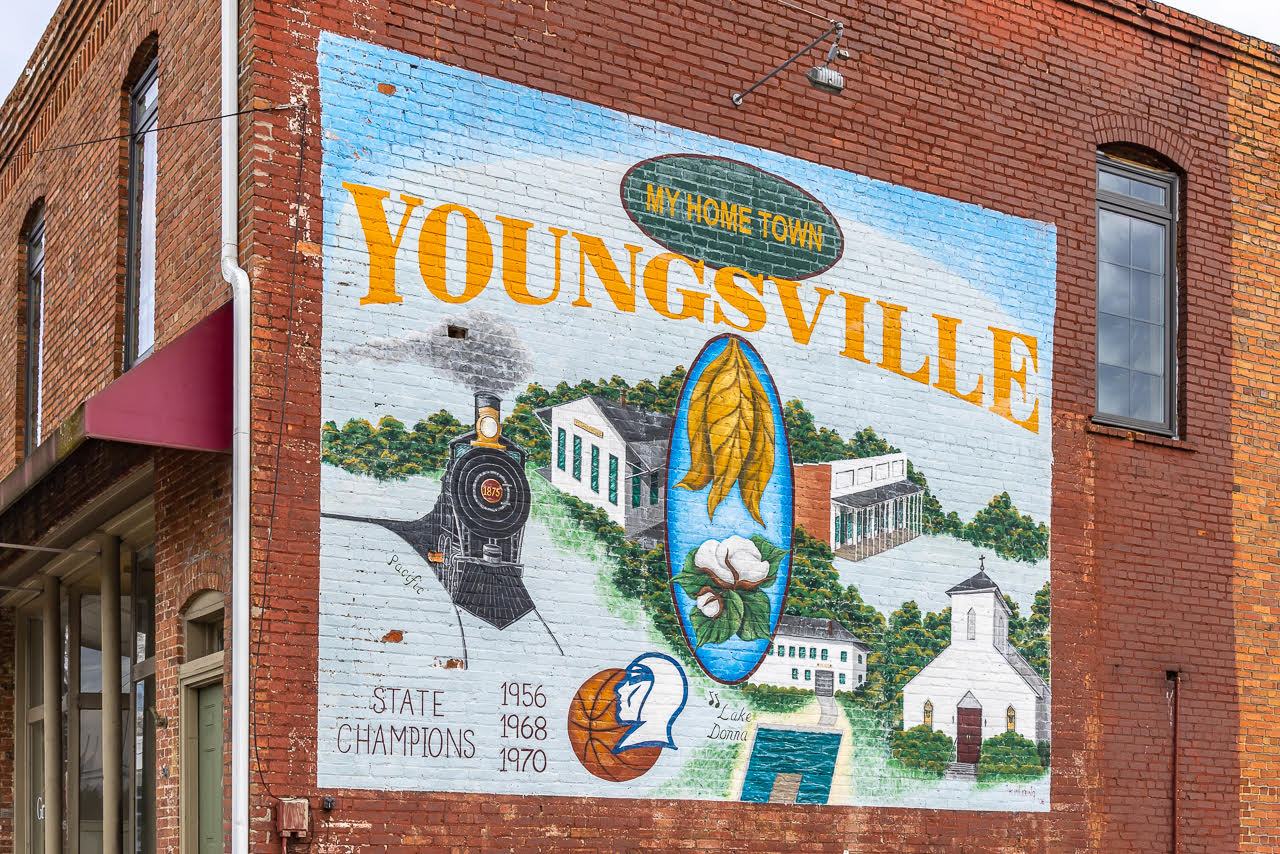 casa en Wrenn Farms Villas por Ryan Homes