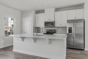 19732 CANOPY LOOP MD (Mozart Quick Move In)