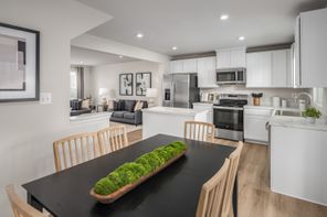 61 Limestone Blvd (Juniper)