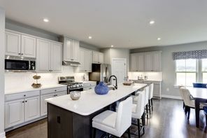 1665 Hope Pointe Drive (Palladio 2-Story)