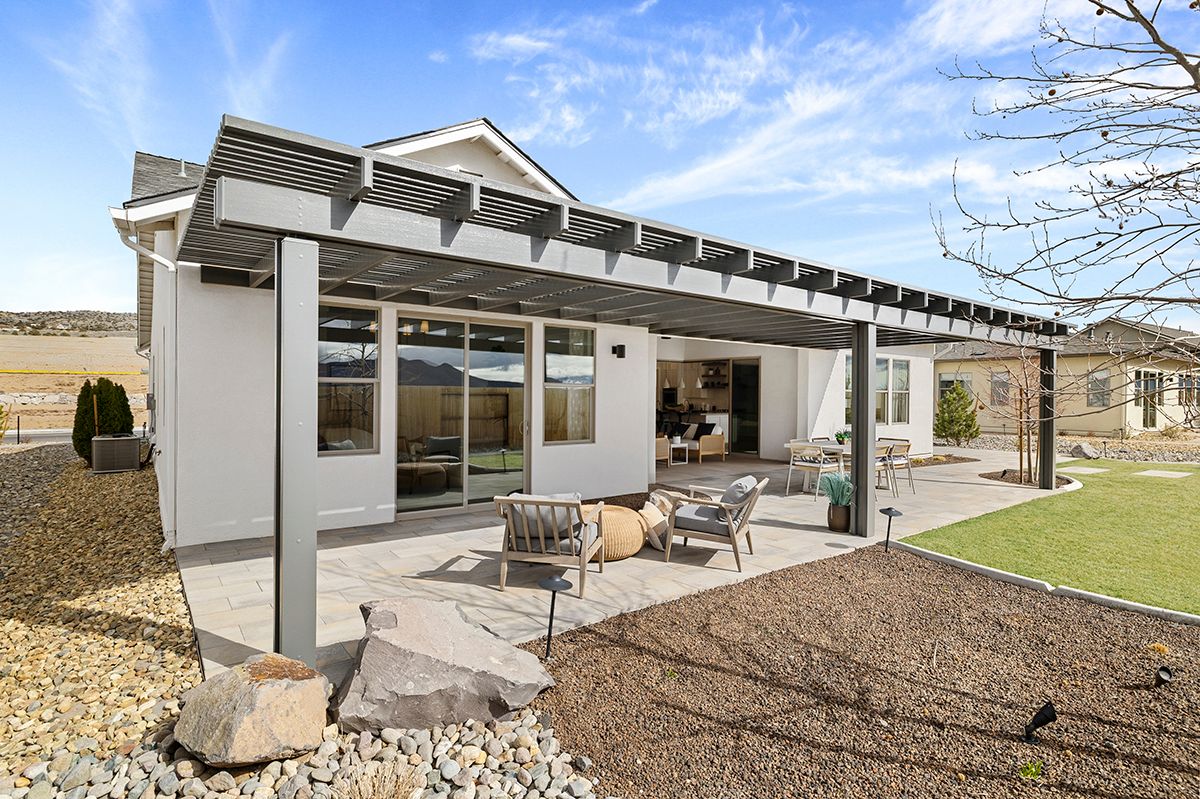 Another Backyard View