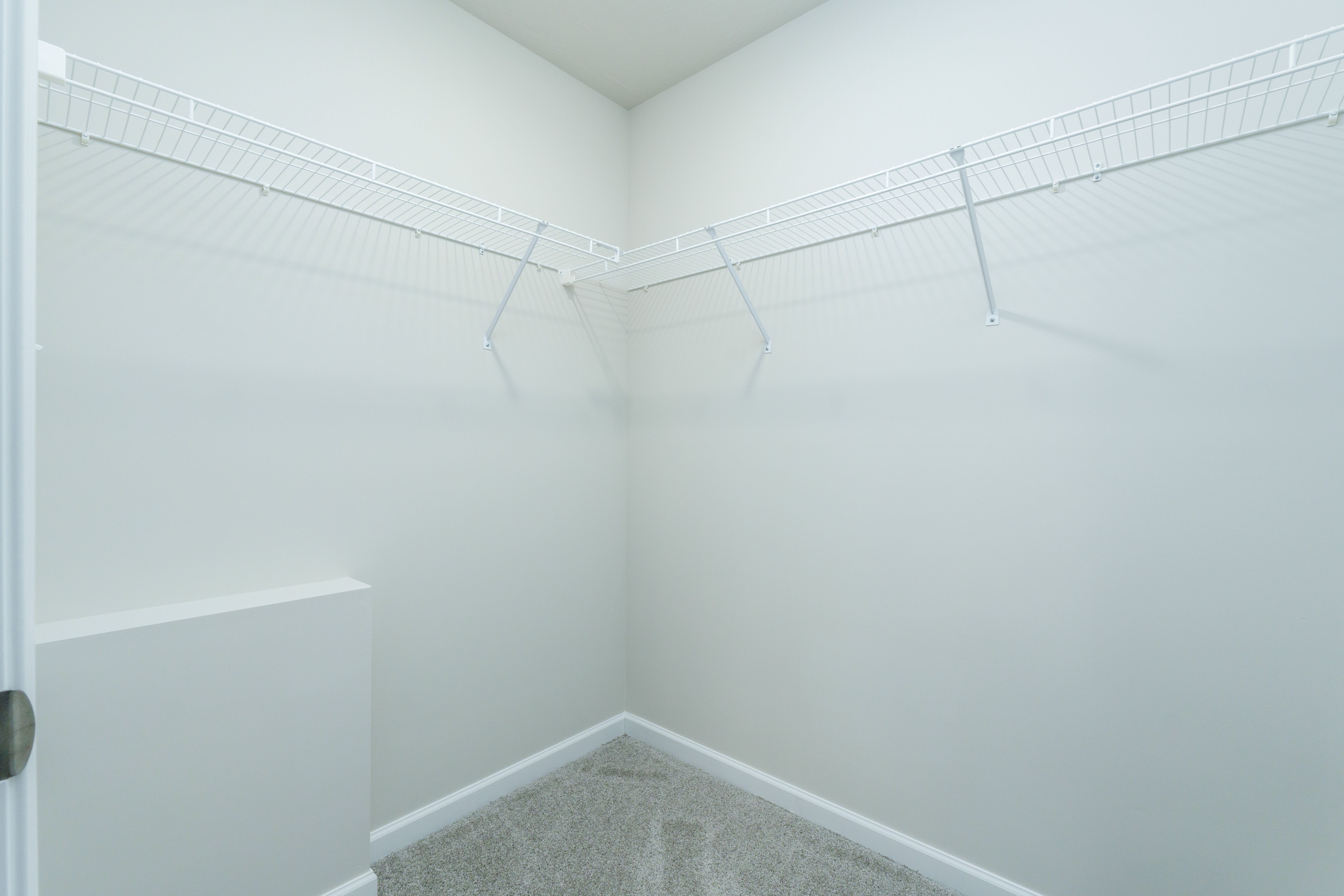 Walk-in owners closet with wire shelving, carpeted floor, and neutral painted walls