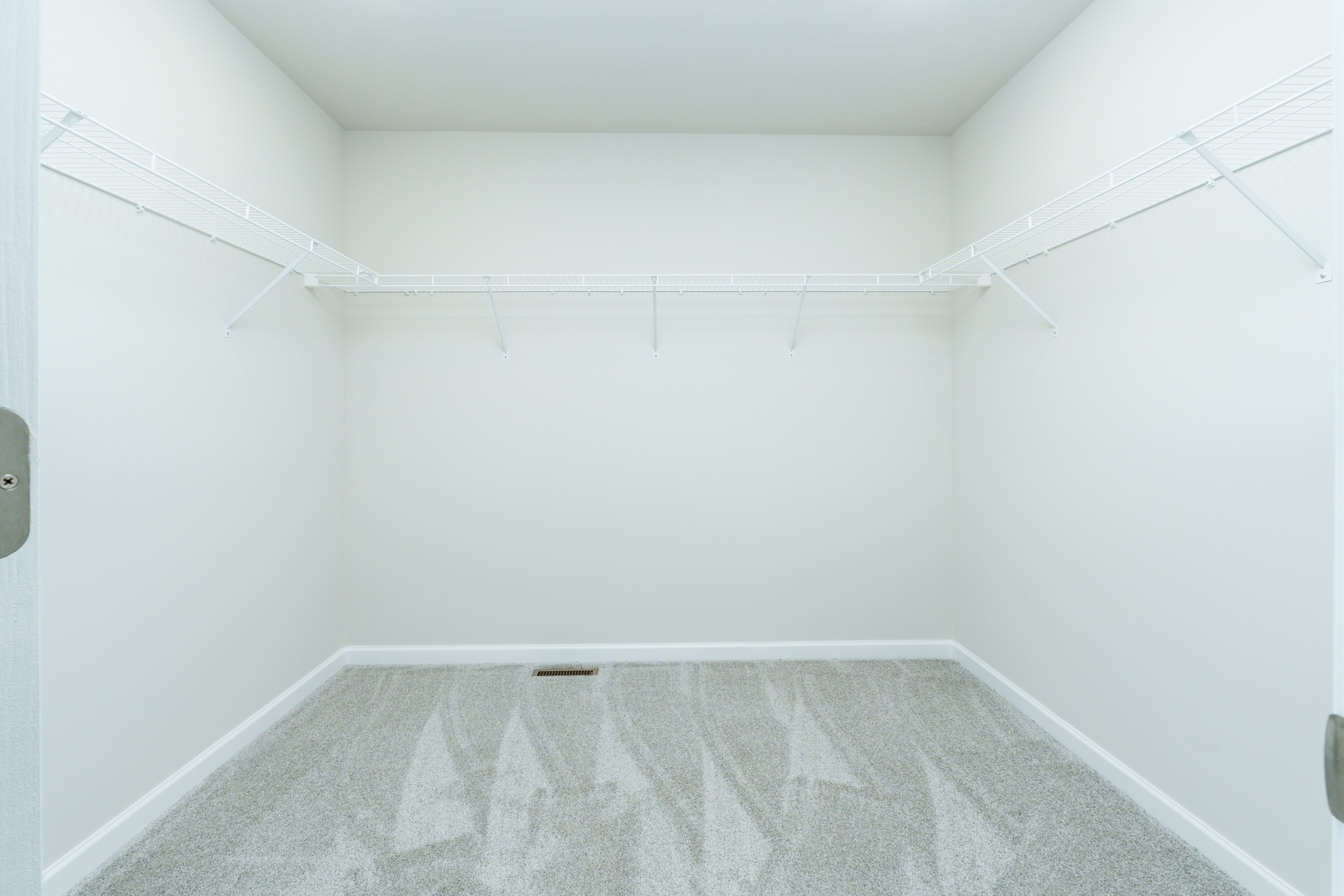Walk-in closet with carpet flooring and single wall of white wire shelving