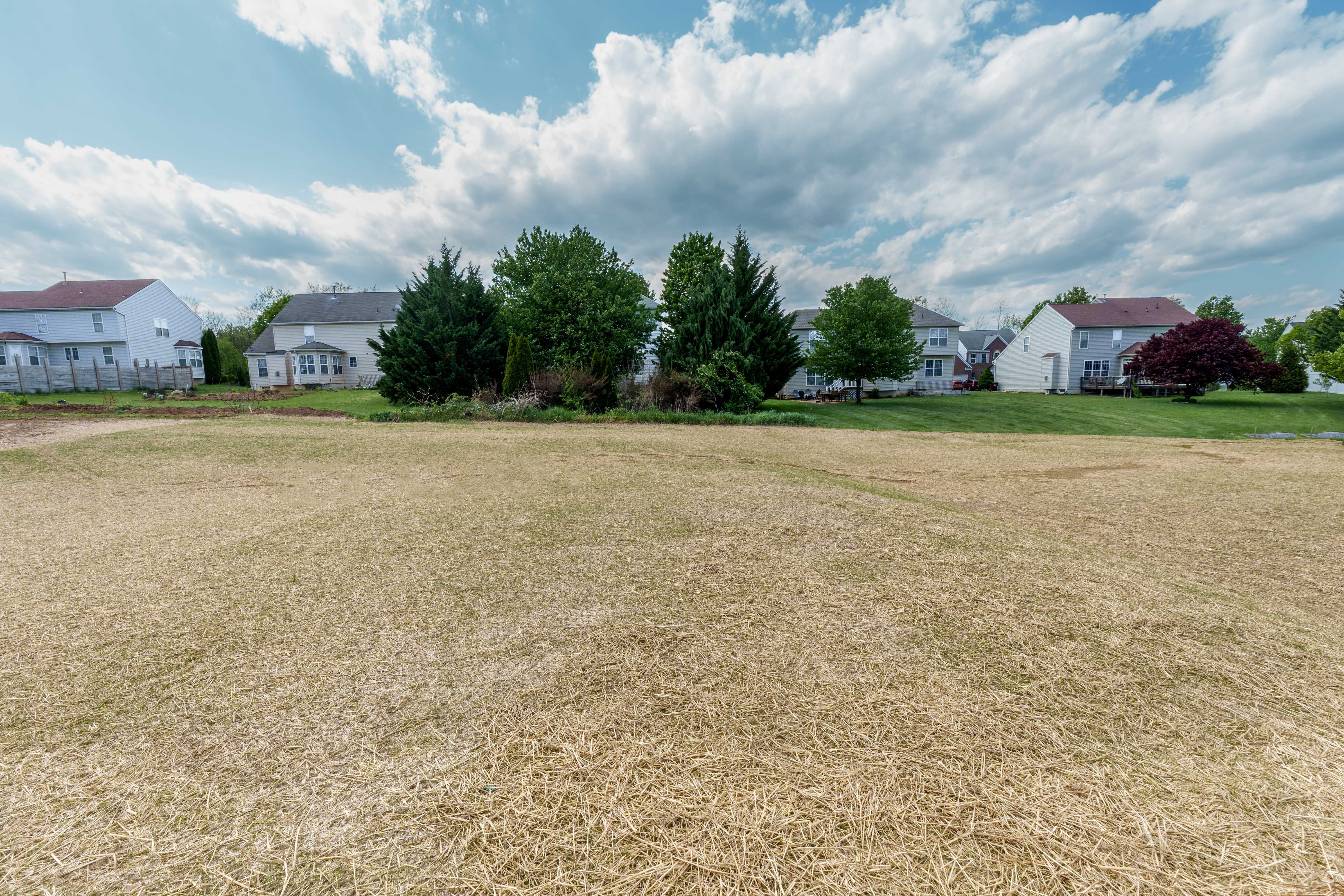Rear yard of home