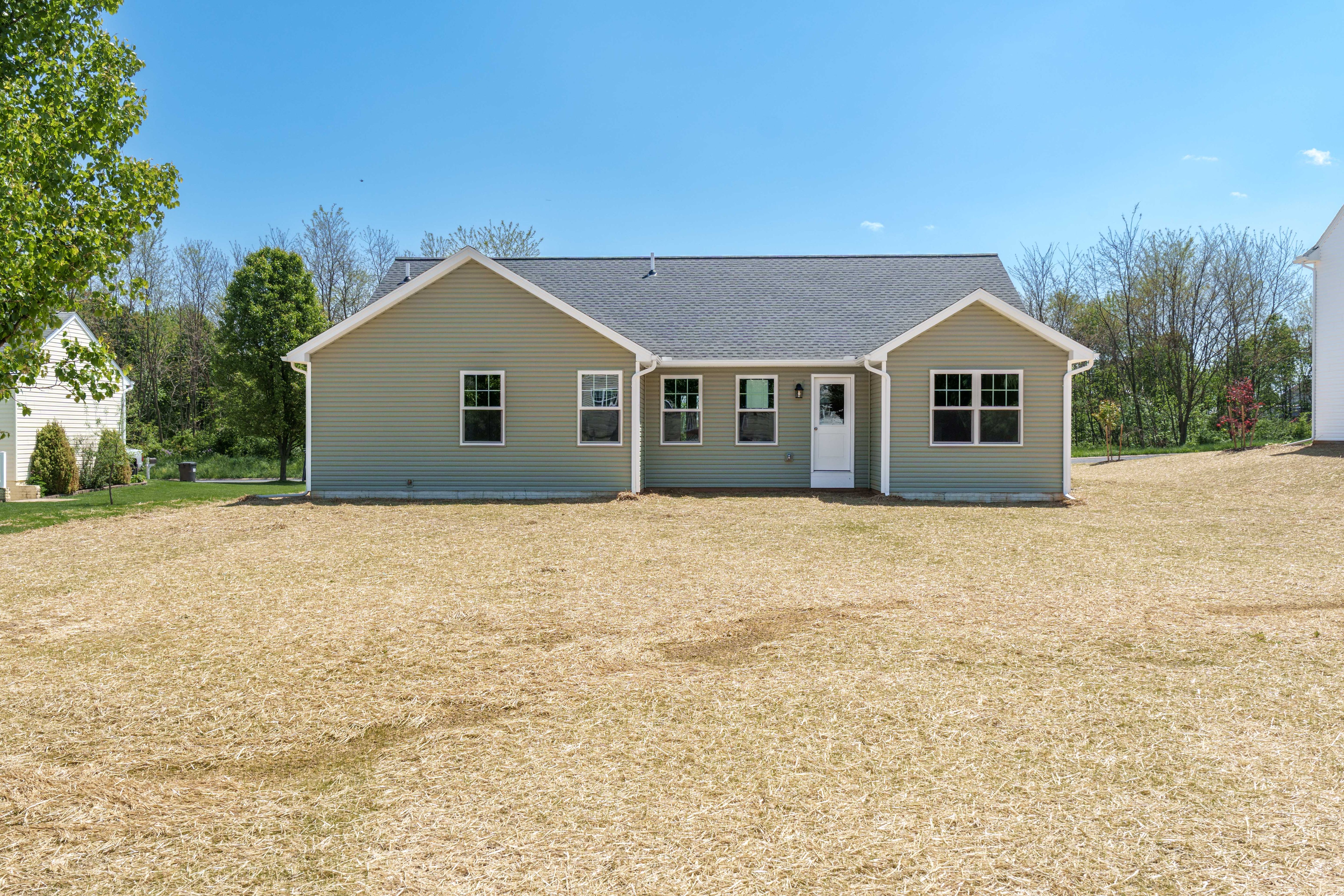 Rear yard of home