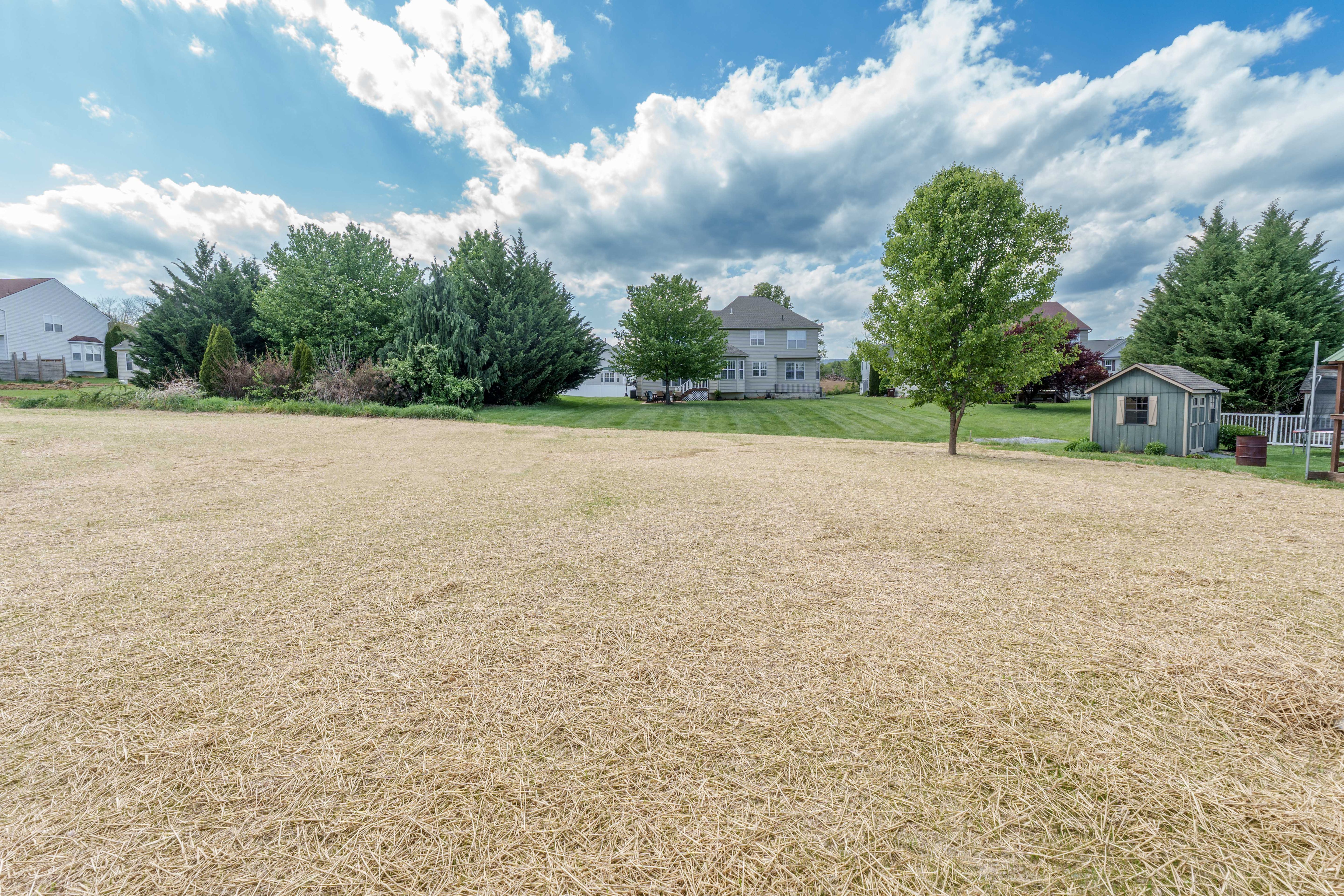 Rear yard of home