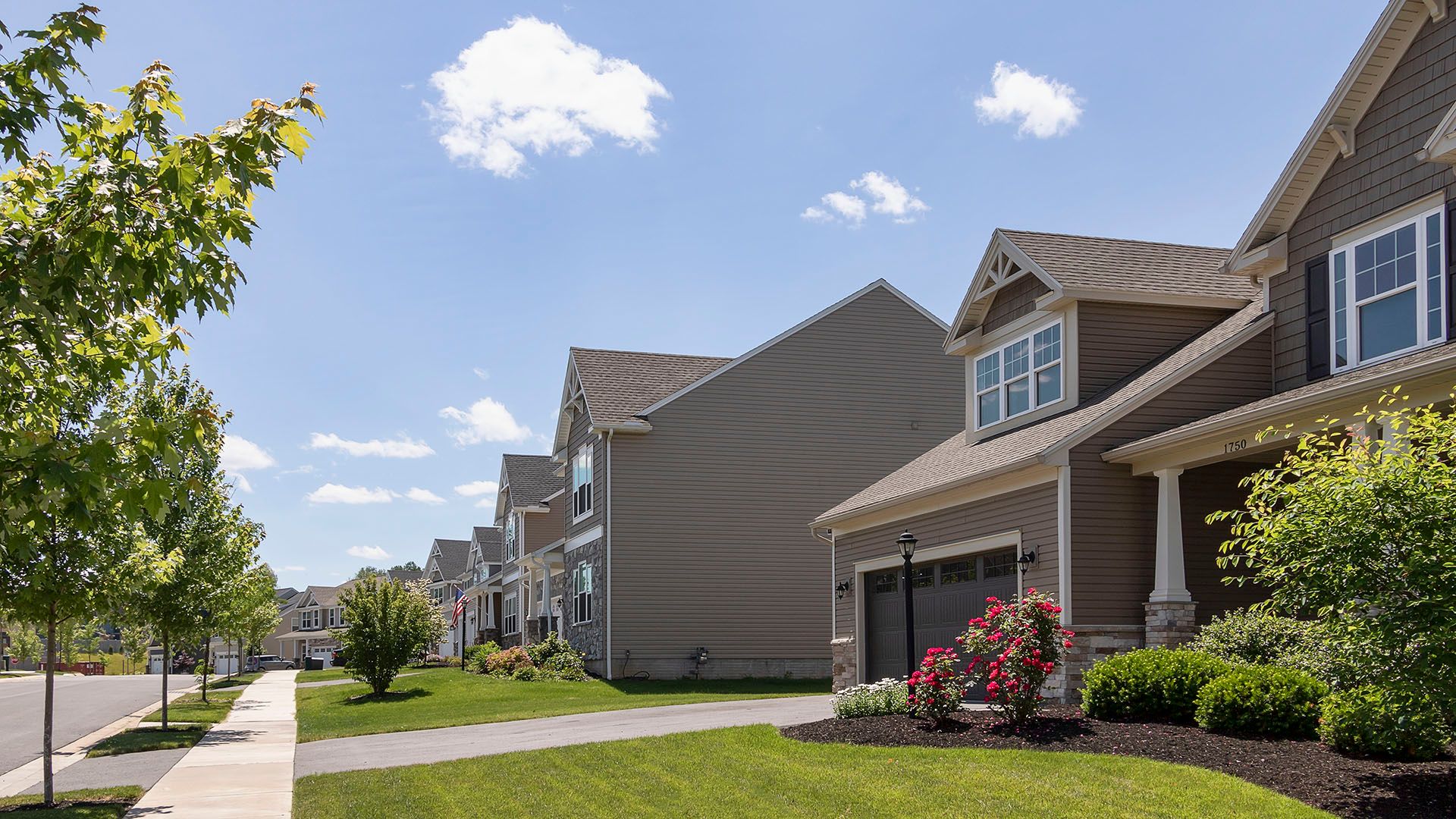 Honors Crossing II in State College - Streetscape - single family homes with Craftsman style exterior